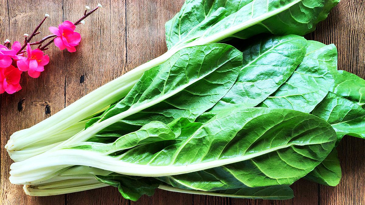 青菜里面种什么菜不长虫子,什么青菜好种又不容易长虫