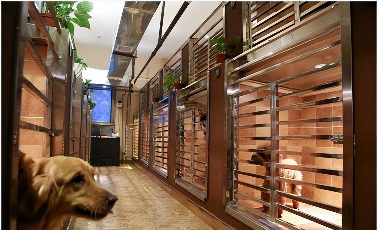 白天空闲时间多有什么可以赚钱的,怎么在手机上利用空闲时间赚钱