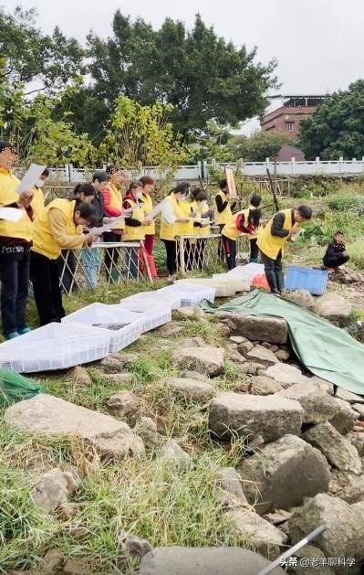 钓鱼遇上放生的人,钓鱼遇放生人视频