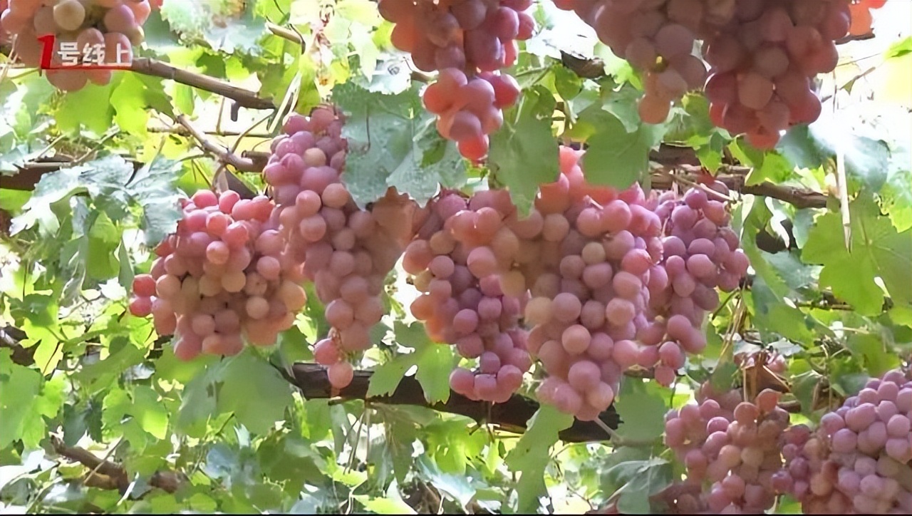 秦皇岛市秋冬季精品旅游线路,秦皇岛冰雪旅游十佳线路