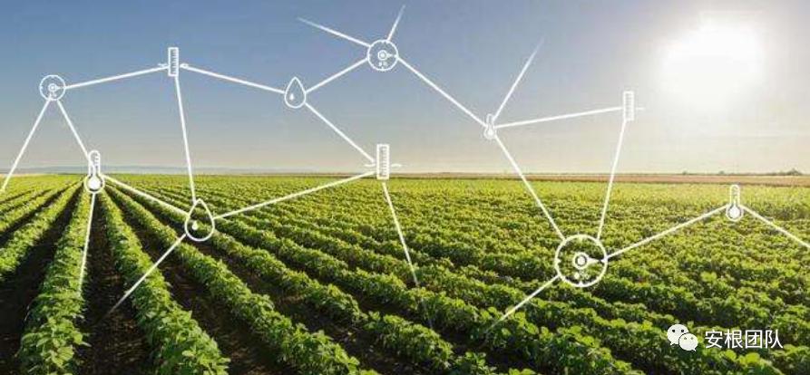 12种生态循环农业养殖模式,现代农业发展策略