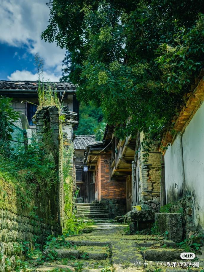 世界最大的梯田,世界梯田之最