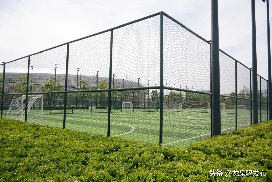 东安湖体育公园可以进入吗,东安湖体育公园游泳跳水馆门票