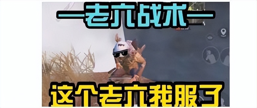 新西兰外长马胡塔,新西兰外长纹马胡塔