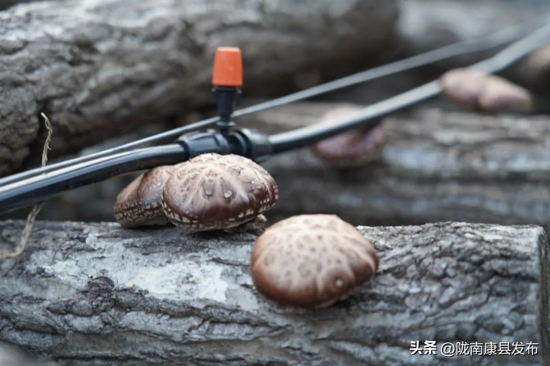 康保县五一哪里好玩,五一康县旅游景点大全