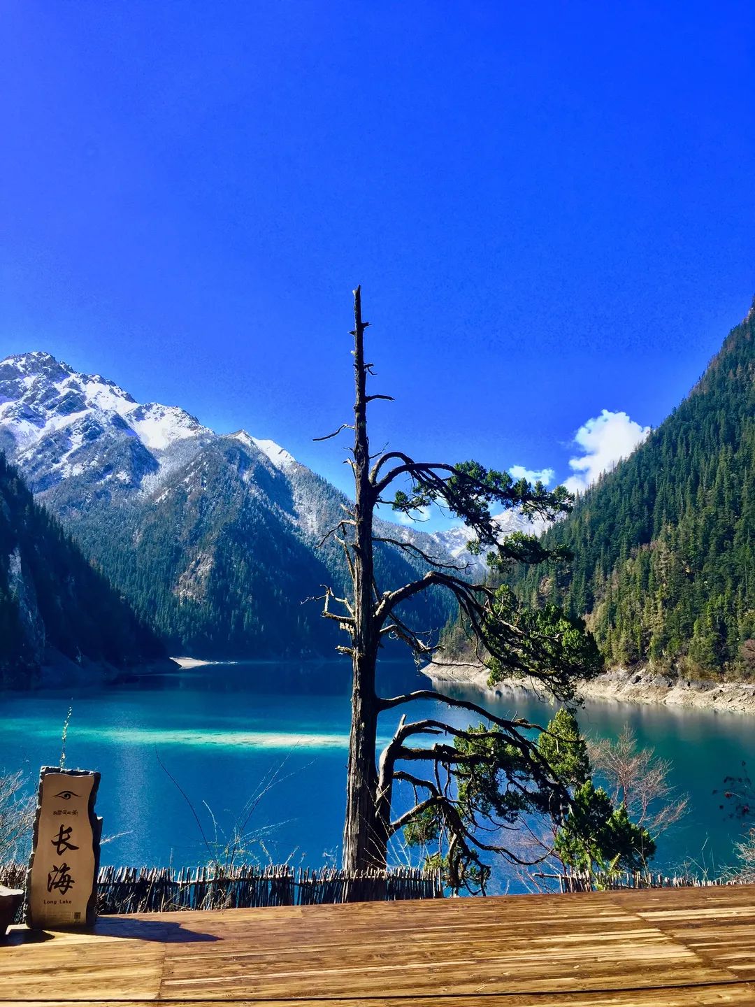 九寨沟震撼现场,最新九寨沟美景