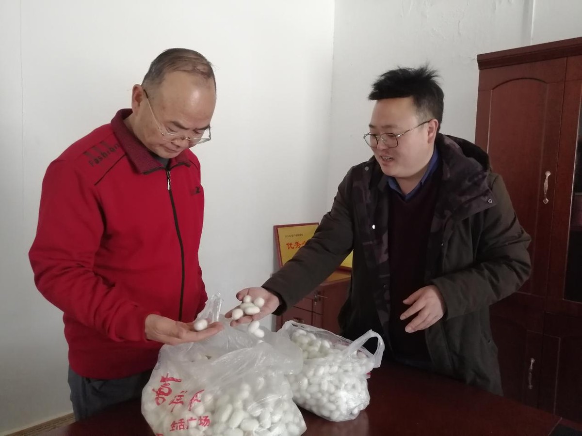 安康市老科协赴岚皋县圣世金铂桑园基地开展“科技之春”宣传活动