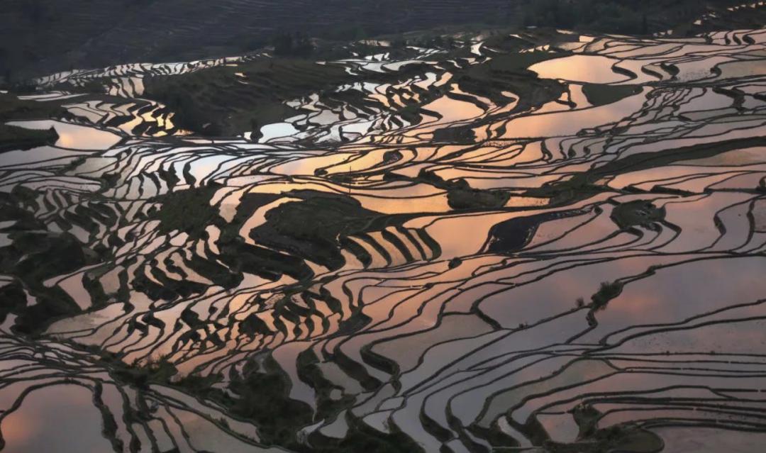 农业银行不断提升服务实体经济,服务实体经济农业银行