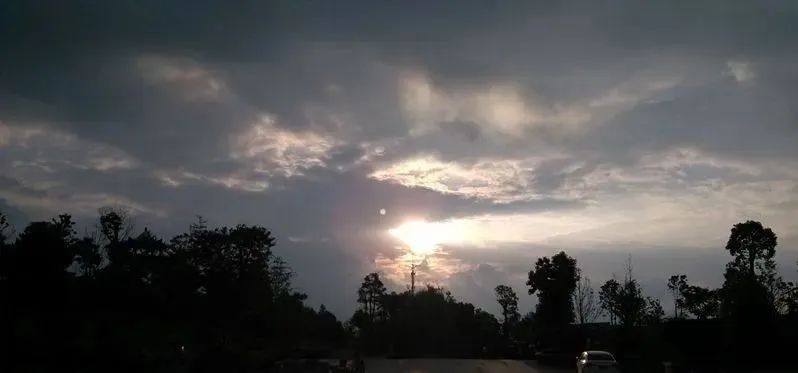 沁芳新雅：盛夏的果实——我的高考0分作文系列之二