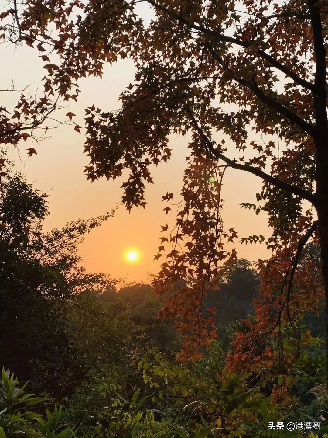 踏遍万水千山饱览各种景观,踏遍美丽的地方