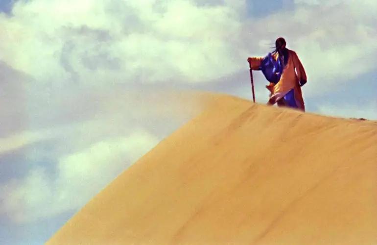 武侠电影东邪西毒观后感,一部新派武侠电影东邪西毒