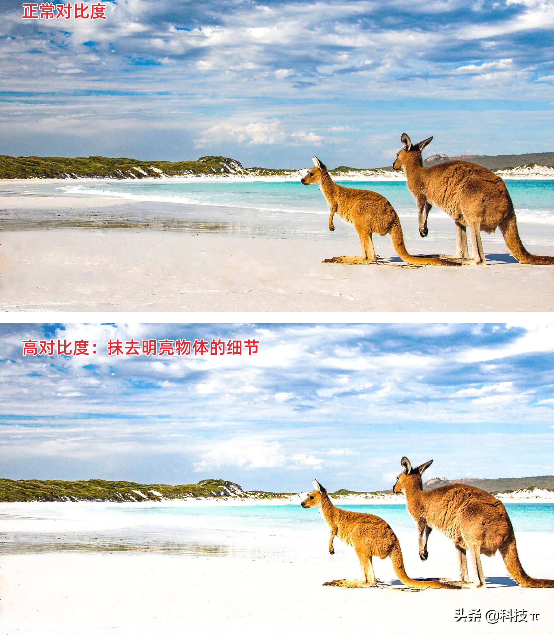 电视怎样调最佳图像,电视怎么调整显示比例