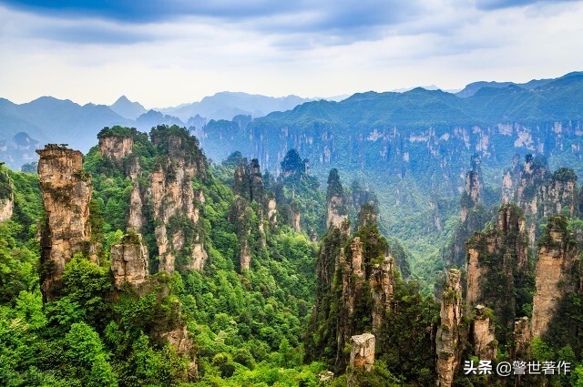 七律采蜜诗,蜜蜂诗词七律