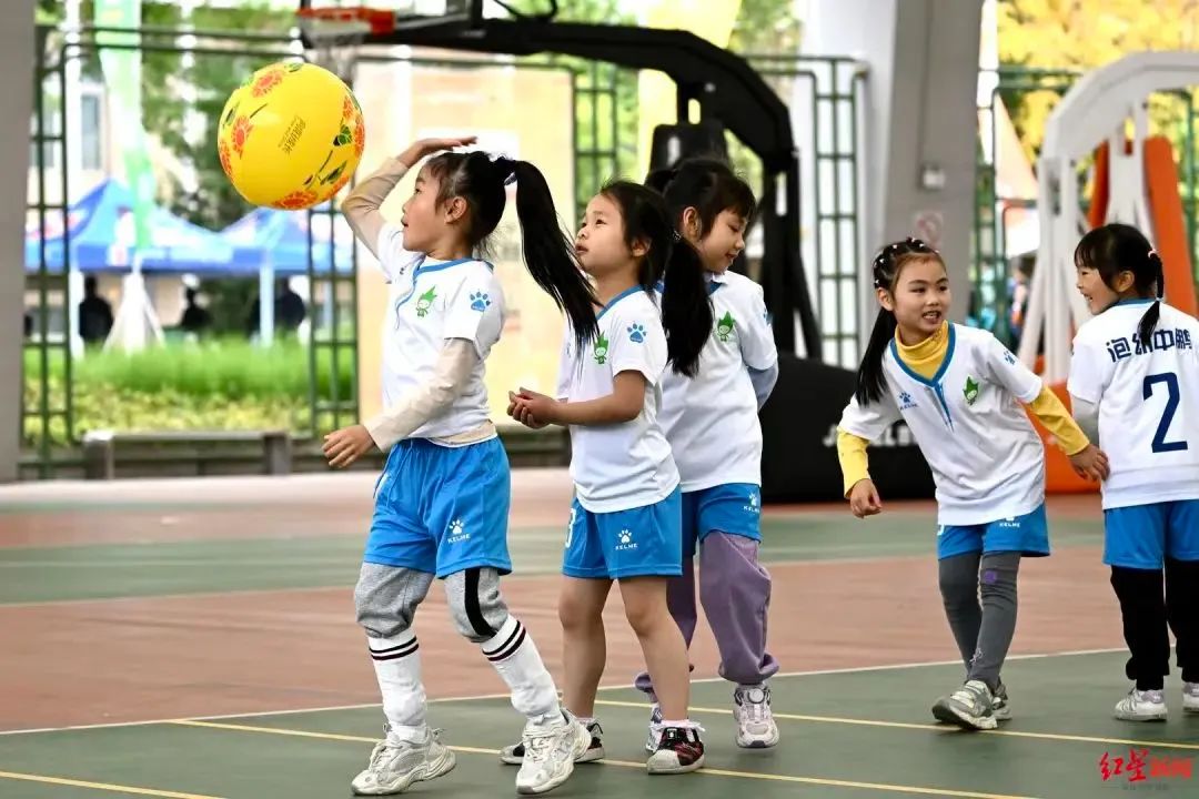 派迪茵体育有限公司,派迪茵体育股份有限公司