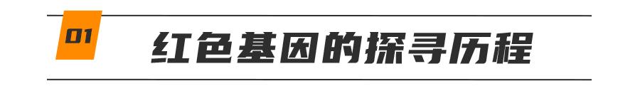 基因克隆最新突破,基因最新突破