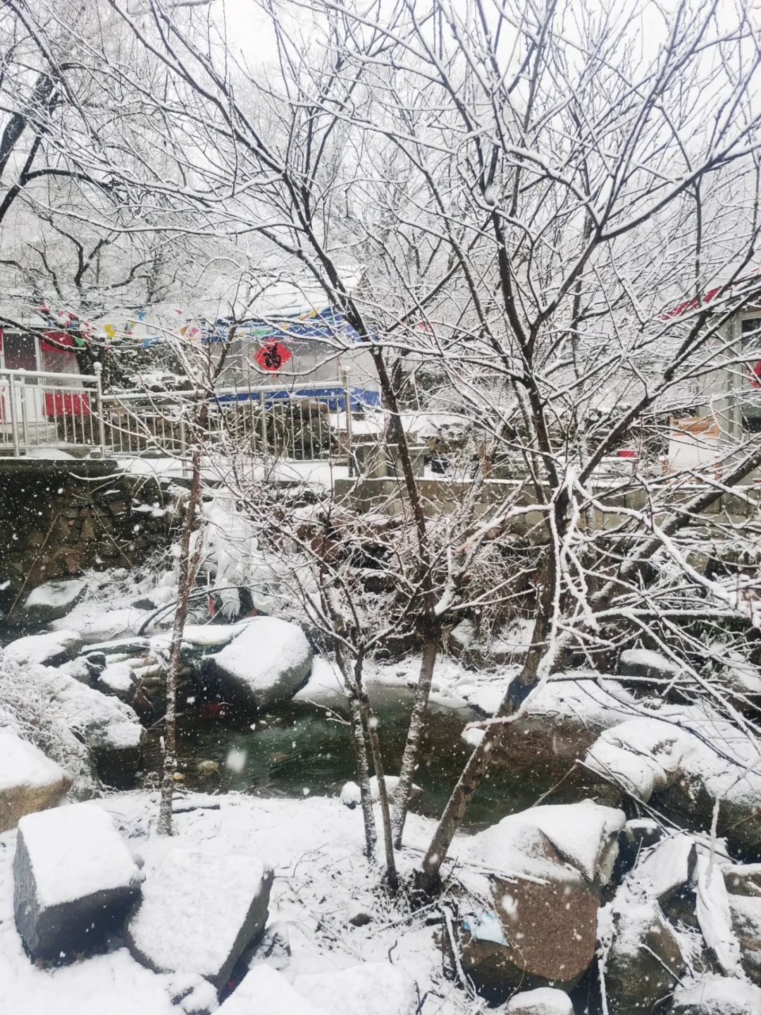 雪落成白墨影成殇,零落成妆