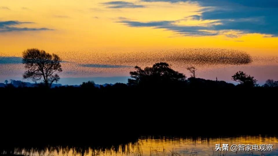 杰宝大王电动车质量如何,江苏杰宝大王电动车说明书