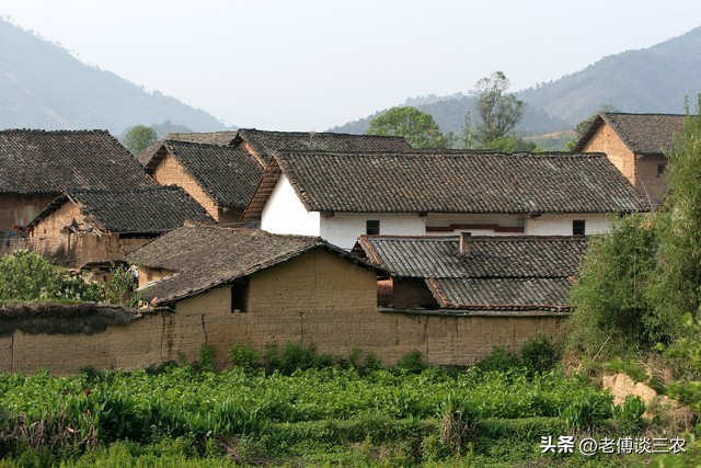 白虎穿堂家败人亡意味什么,俗话白虎穿堂家败人亡是什么意思