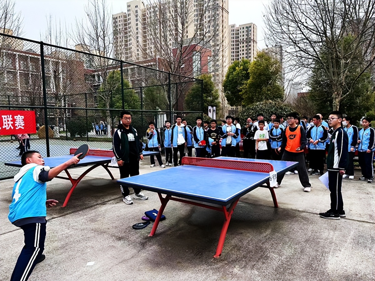 传承体育文化弘扬体育精神为主题,弘扬国球精神感受乒乓魅力