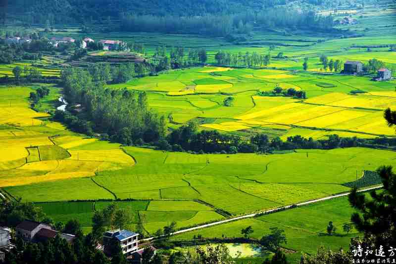 诗词里的绝美春天诗句,30首绝美春日诗句范文