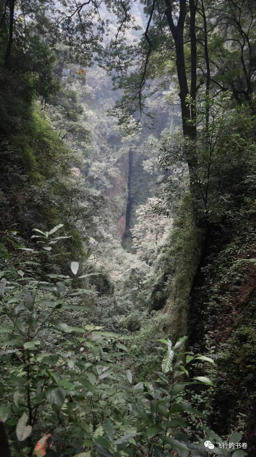 道教四大仙山你爬过几座,青城山为什么被称作道教第一山