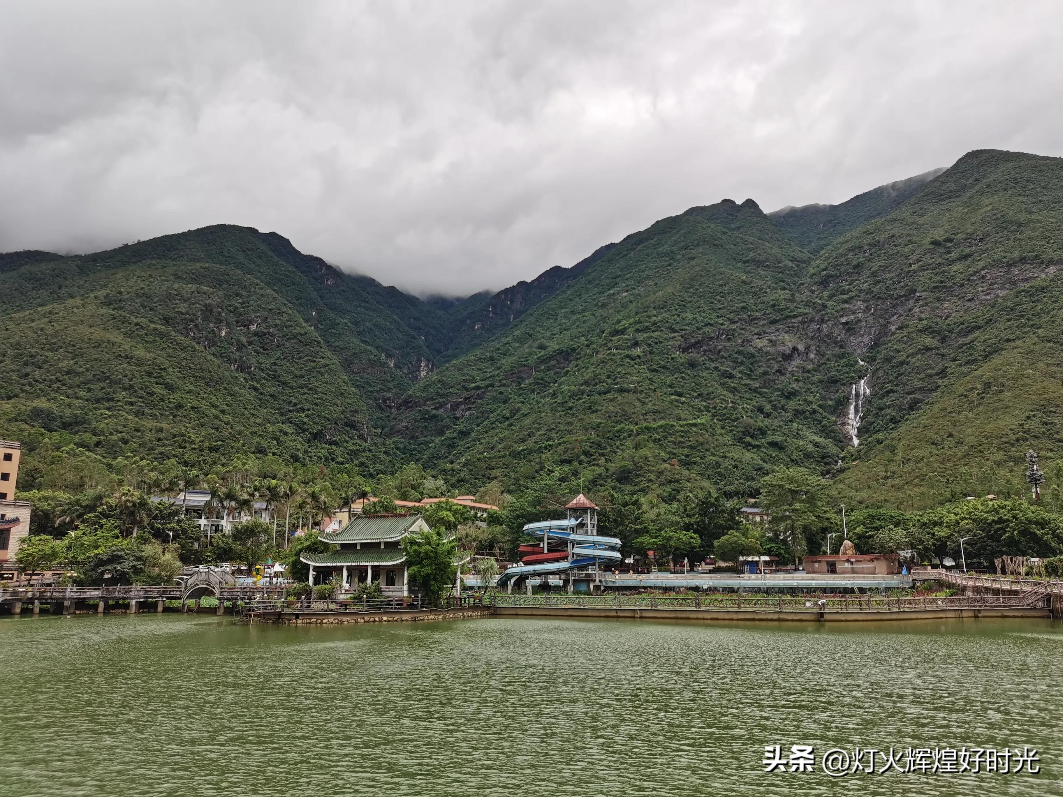 夏日掠影,雨天花开,人见人爱