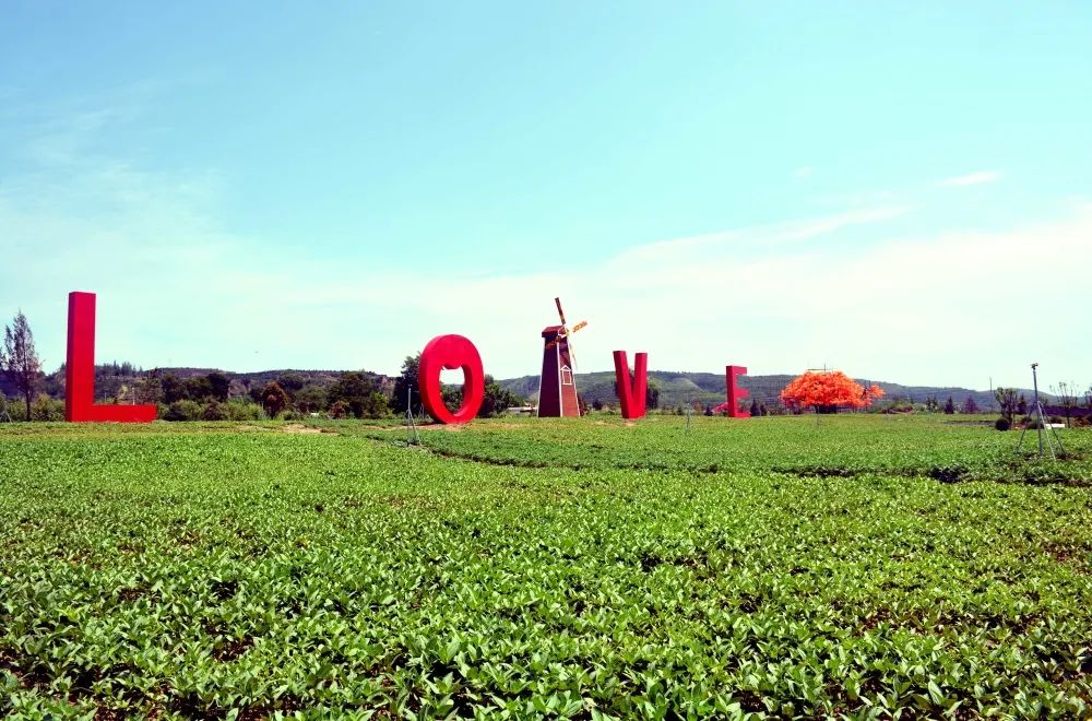 中国足协称赞泾川文汇,足协赞扬甘肃黑马球队