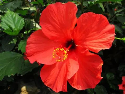 花千骨花絮,小百花花絮