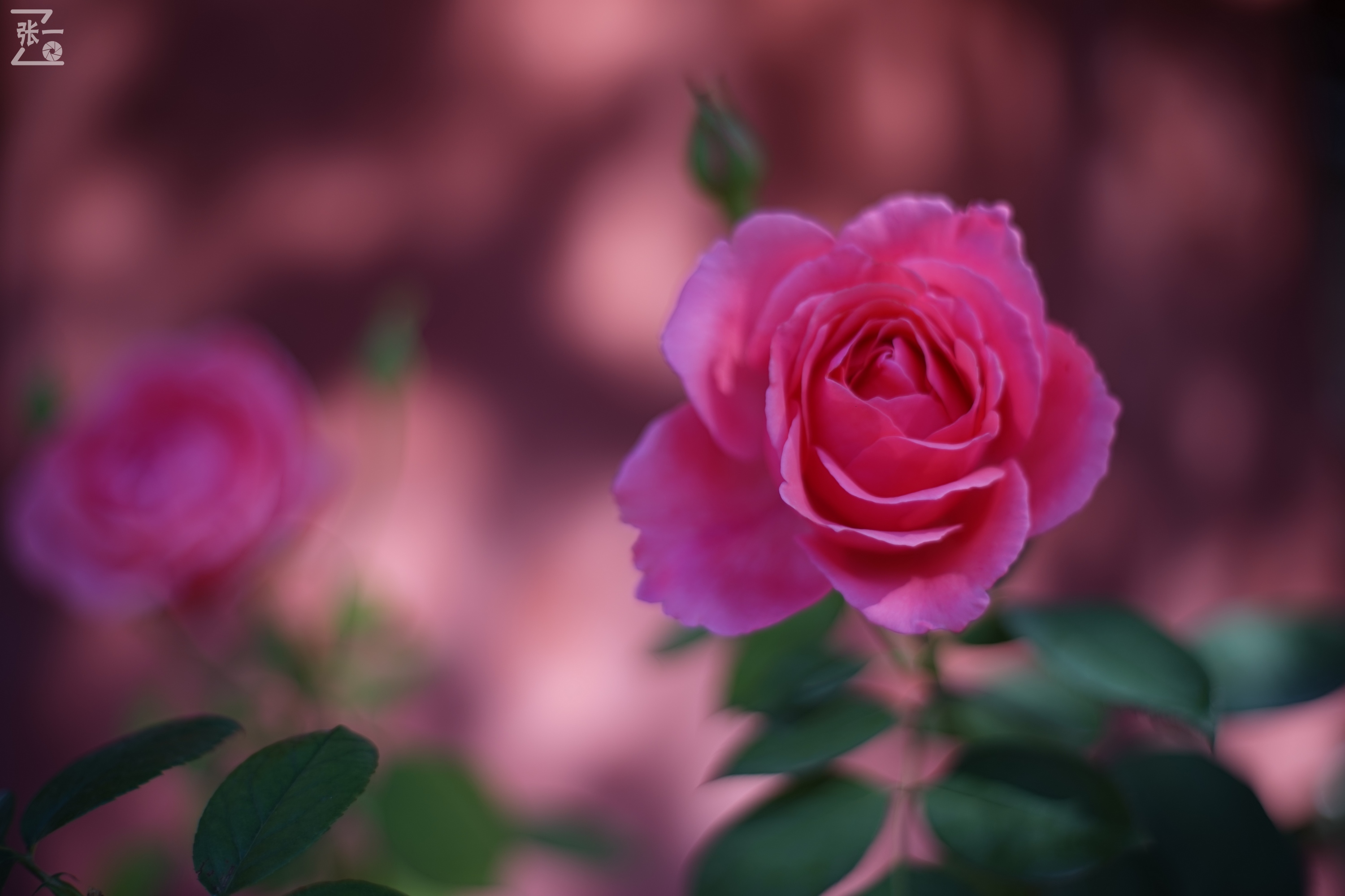 老镜头实拍,老镜头拍北京