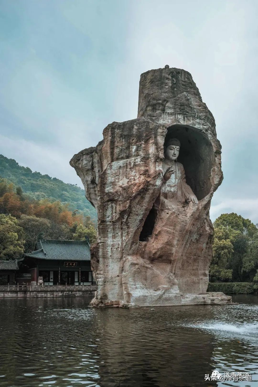 中国茶叶第一产茶大省,陕西中国茶叶第一大省