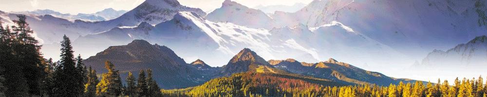 国家电网全国统一的电价,国家电网居民电价全球最低