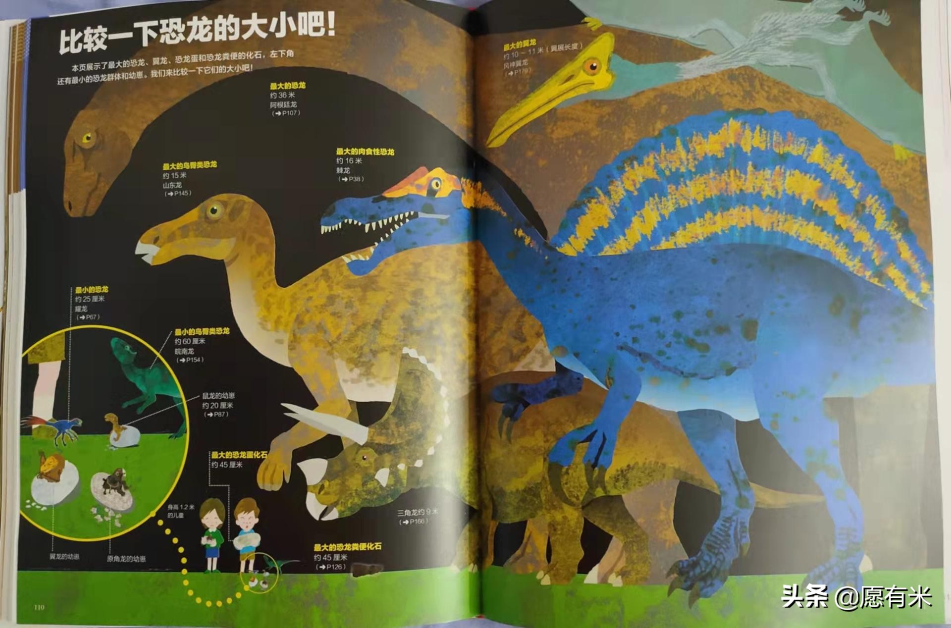 恐龙大百科之各种各样恐龙,恐龙世界最强大的恐龙的图片