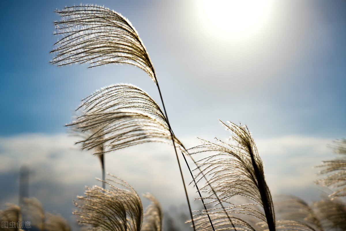 优雅形体礼仪气质提升培训,提升优雅气质的形体训练