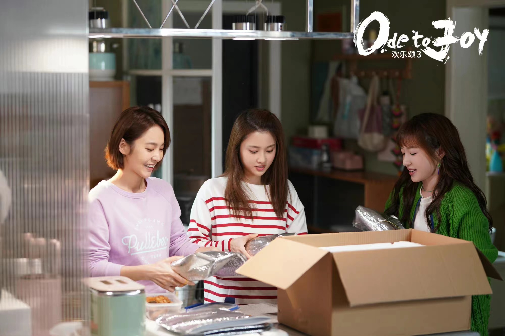 欢乐颂未婚先孕邱莹莹樊胜美,欢乐颂何悯鸿未婚先孕哪一集