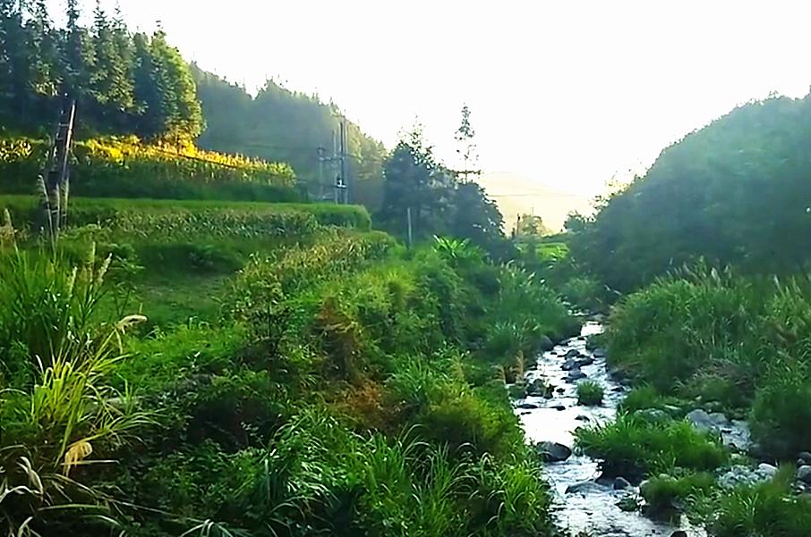 外地老板投资100万建拦河坝每年可赚80万，为何关闭？