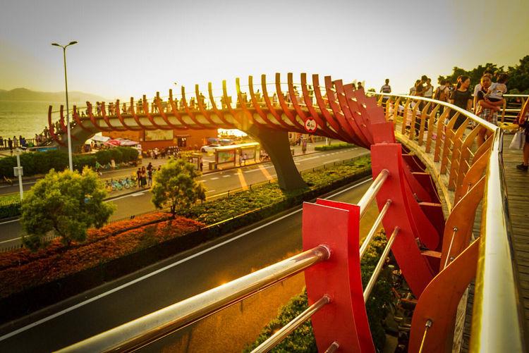 厦门带孩子去哪里玩,厦门带女朋友去哪里玩