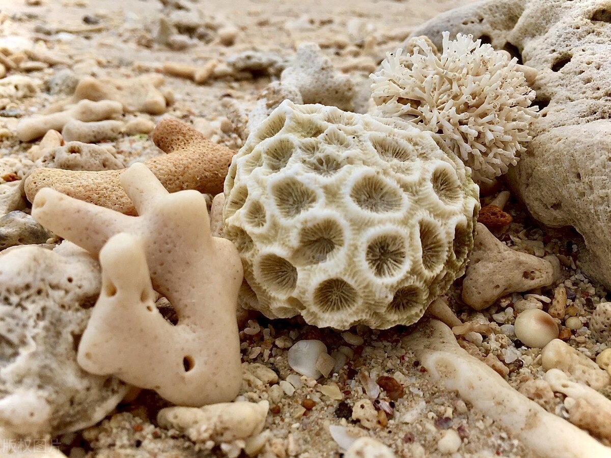 中国海岸线看海攻略,中国看海最美最值得去的18个地方