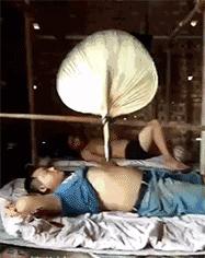 邻居门口放狮子我怎么破,邻居门口摆狮子我该怎么应对