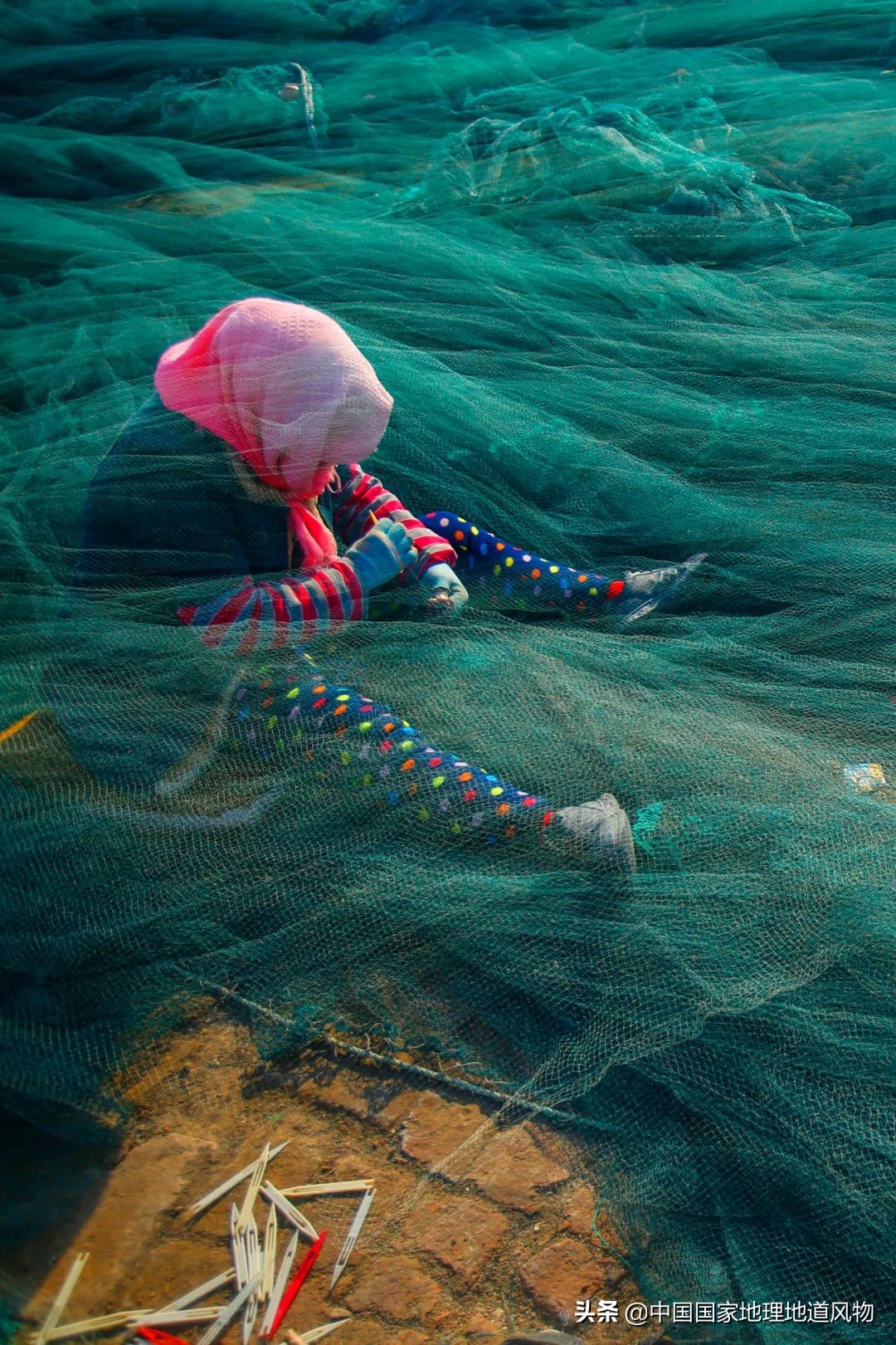 辽宁哪个地方的海鲜最好,辽宁各市都有啥海鲜