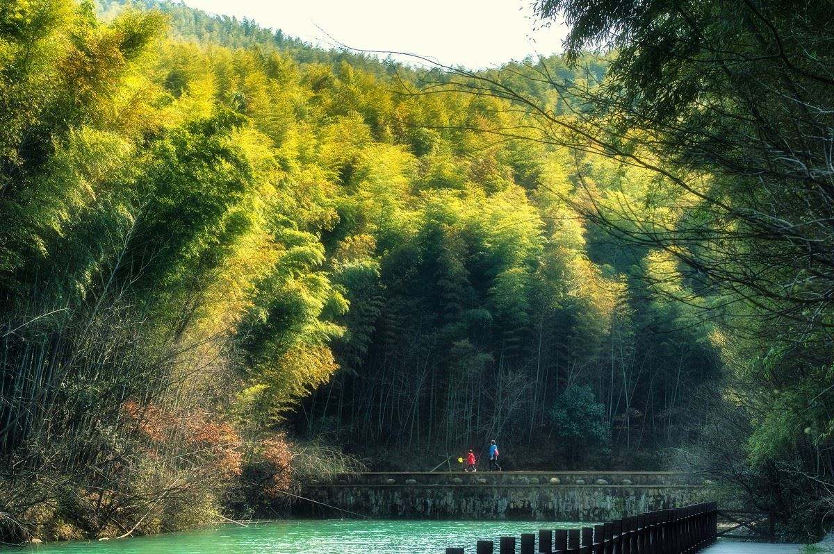 南京春游推荐石塘竹海景区,南京石塘竹海怪坡