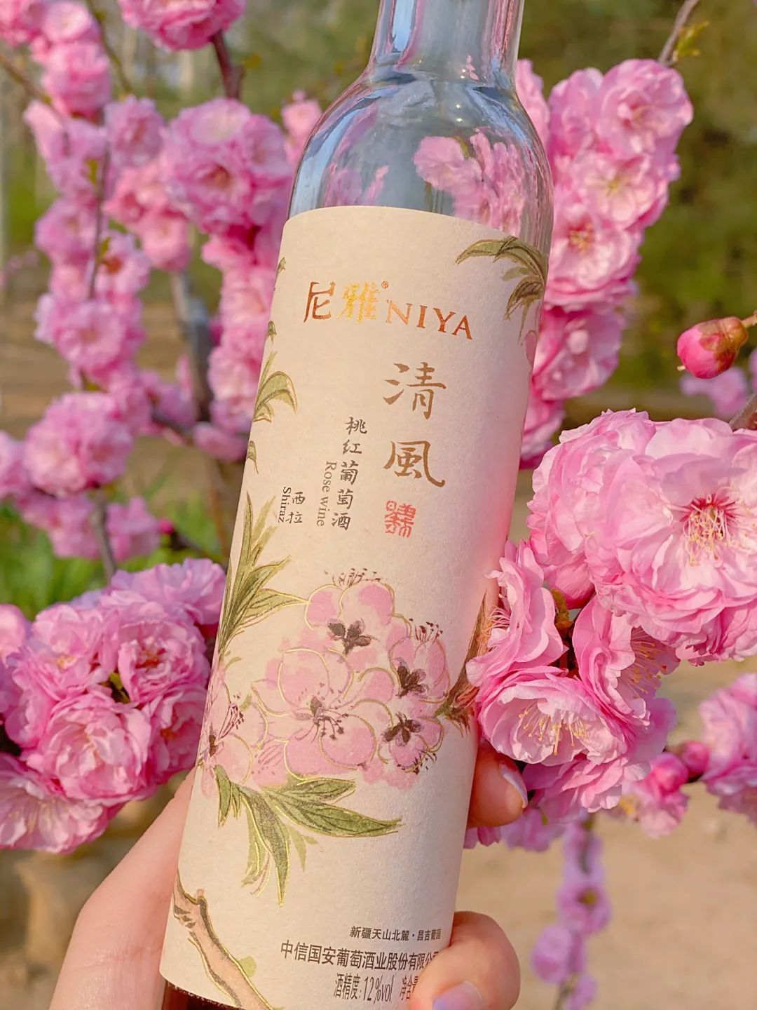 七夕心动酒单|尼雅与你共赴浪漫之约