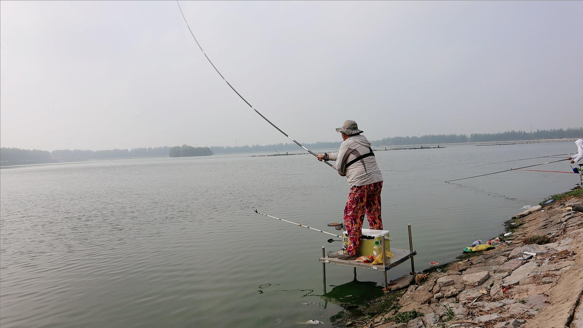 双十二野钓鱼竿推荐,中级钓竿选哪个