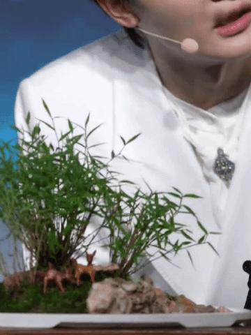 周深卡布叻船长海外反应,周深和卡布叻什么关系