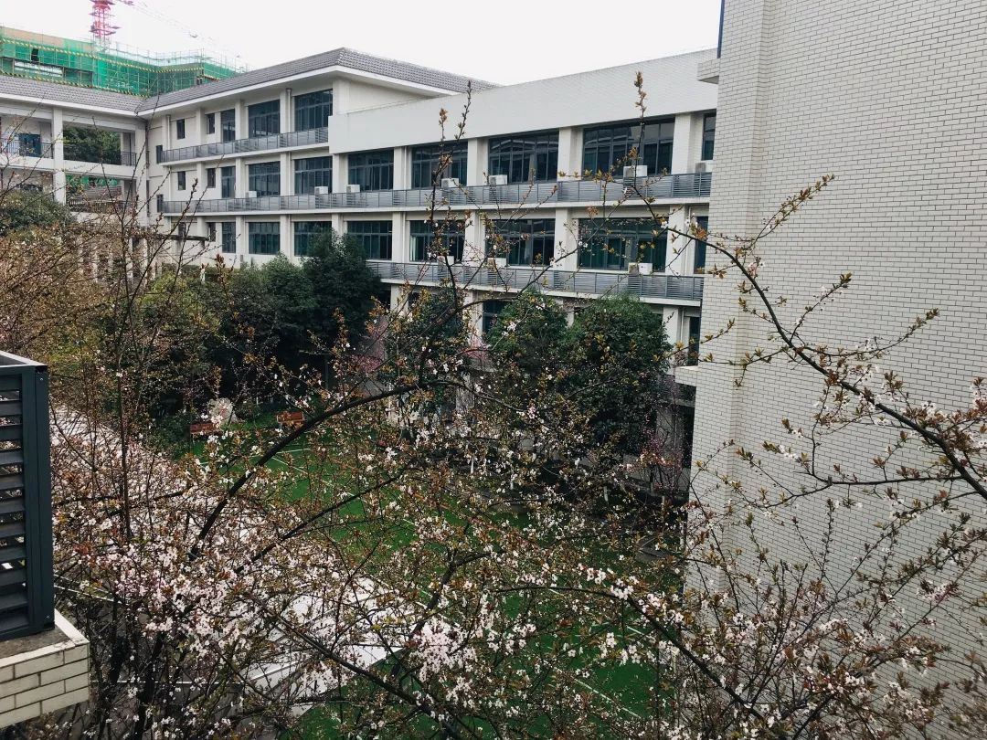 长江师范和重庆二师哪个好,长江师范与重庆第二师范