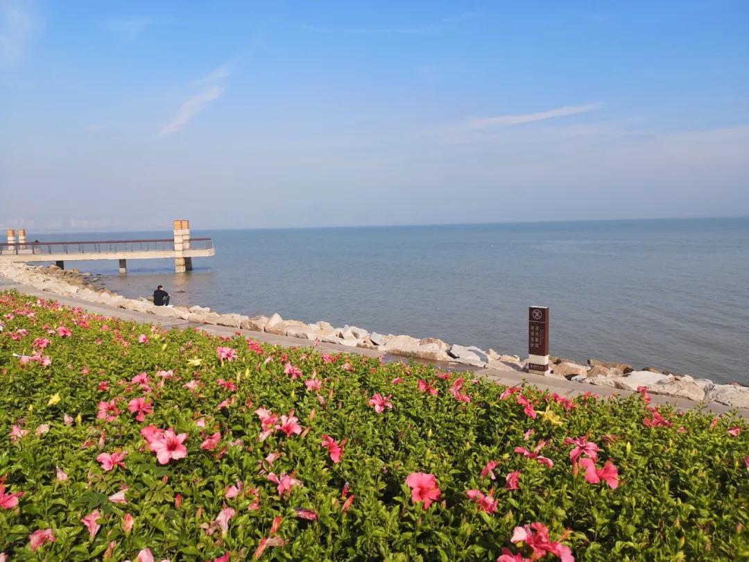 深圳甘坑客家小镇旅行,深圳甘坑古镇附近一日游攻略