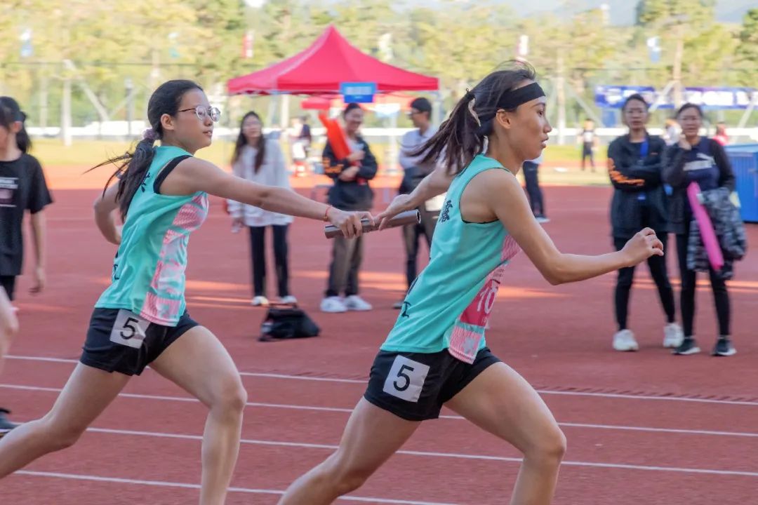 深技大的城市交通与物流学院,城市交通与物流学院是哪所大学