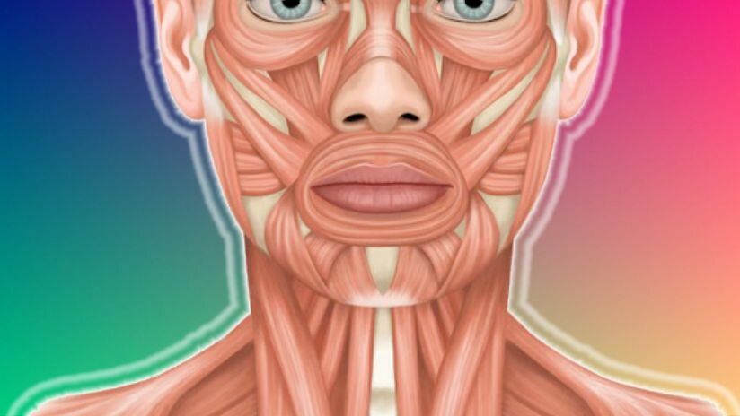 土豆提拉按摩，锐化青春角度，收紧第二下巴