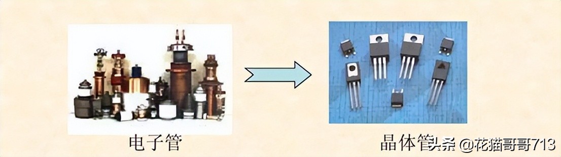 猫哥俄罗斯,猫哥在俄罗斯最新视频