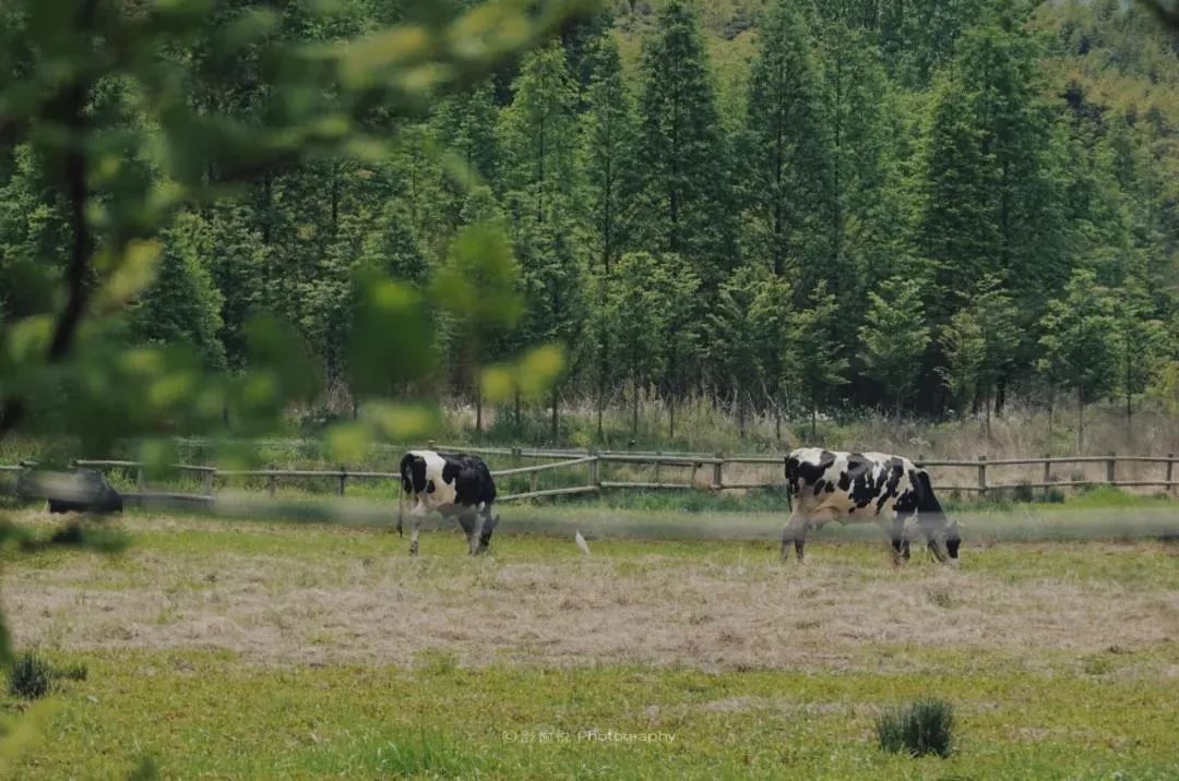 夏天凉快风景好又有水的旅游景点,夏天旅游景点哪里最好玩