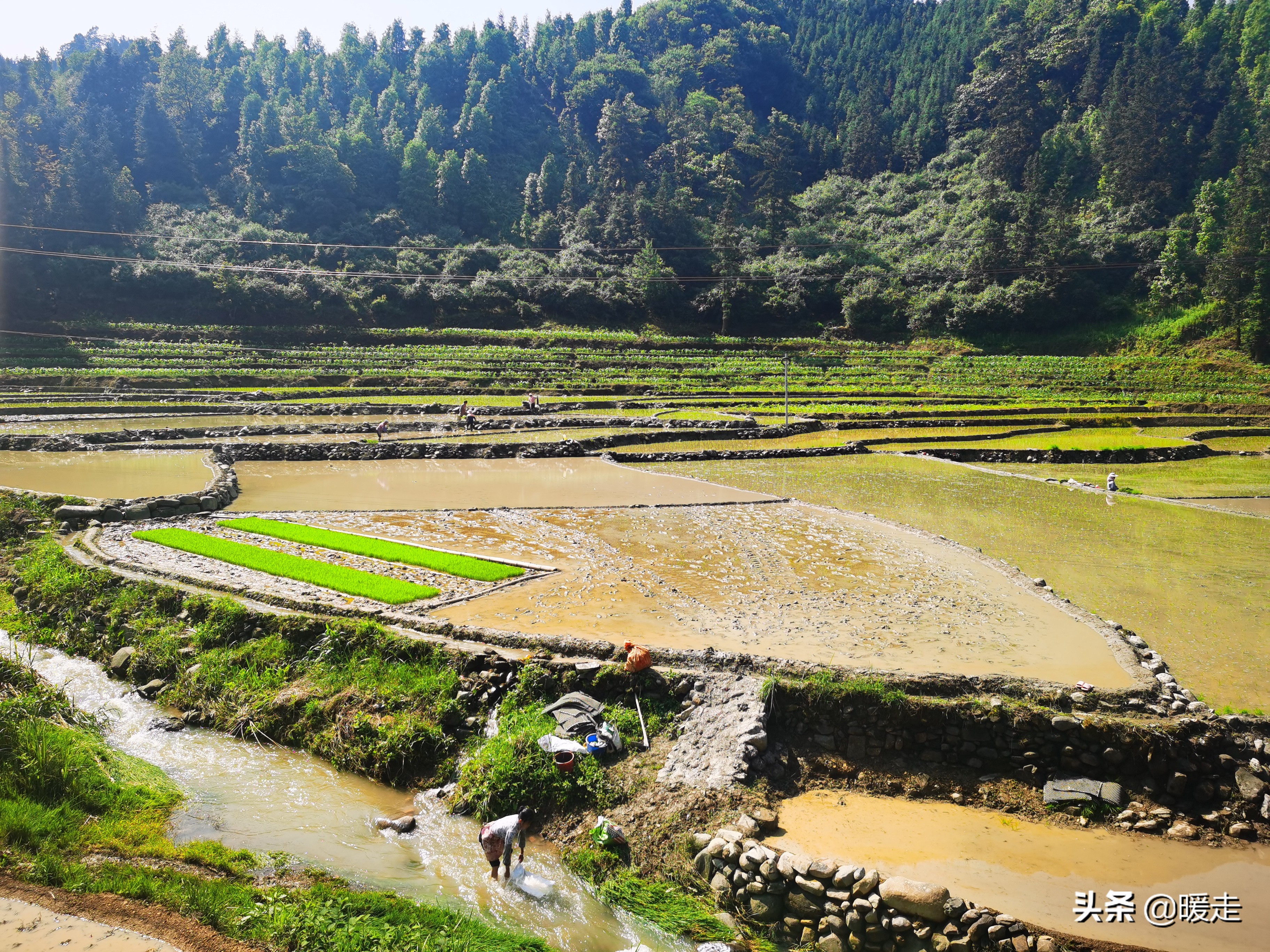 广西农民种田,乡村种田的生活视频